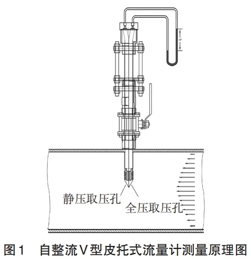 1000.webp_看图王.jpg